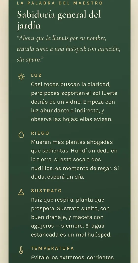 Consejos de cultivo de Chen Botánica: luz, riego, sustrato y temperatura