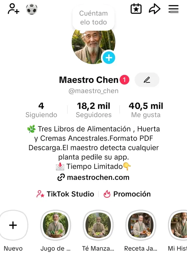 Perfil de TikTok de Maestro Chen con 18,2 mil seguidores y 40,5 mil me gusta