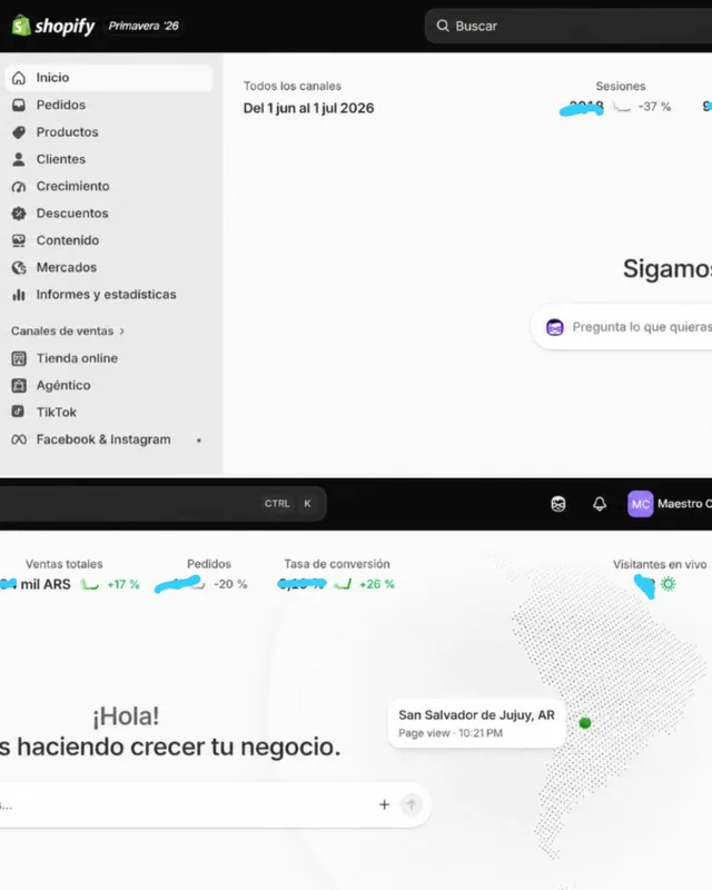 Panel de administración de Shopify de la tienda de Maestro Chen con ventas en crecimiento y canales de TikTok y Meta conectados