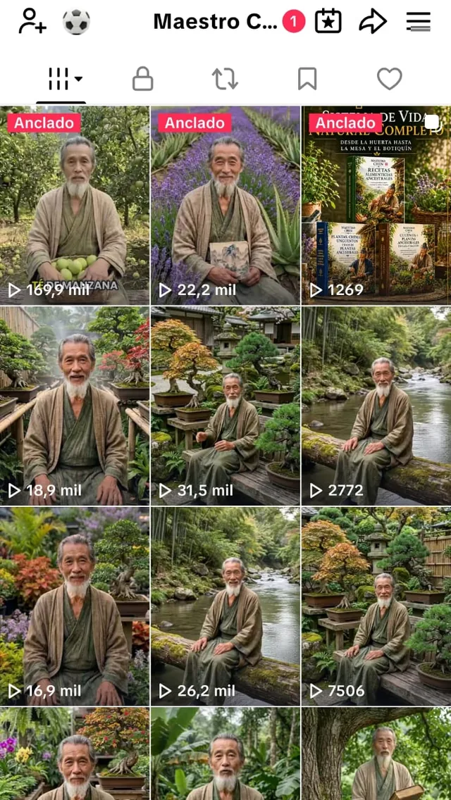 Grilla de videos de la cuenta de Maestro Chen con sus reproducciones visibles
